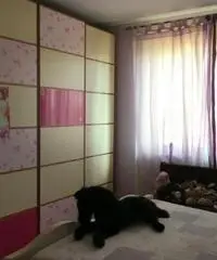 rif: CP1909 - Appartamento in Vendita a Gragnano Trebbiense