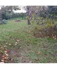 Terratetto in vendita a MARCIANA - Cascina 120 mq Terratetto in vendita a MARCIANA - Cascina 120 mq