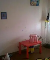 Comeana, terzo ed utimo piano con ascensore, con bella vista panoramica, soggiorno, cucina, due came Comeana, terzo ed utimo piano con ascensore, con bella vista panoramica, soggiorno, cucina, due came