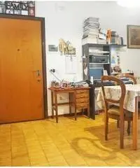 Pinarella, appartamento tre camere e due bagni Pinarella, appartamento tre camere e due bagni