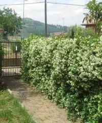 Trarivi: Vendita Villa da 120mq Trarivi: Vendita Villa da 120mq