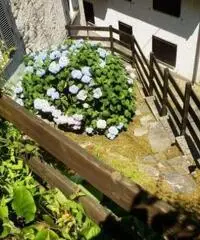 Poira: Vendita Casa indipendente in Via Poira,322