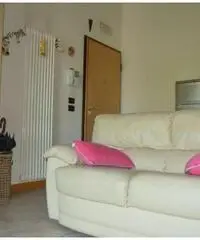 Vendita Bilocale in Via Dalmazia