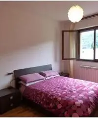 Appena ribassato Appena ribassato