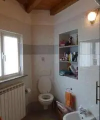 Bilocale con terrazzo - Mesenzana Bilocale con terrazzo - Mesenzana