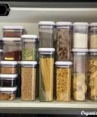 SPOSA IN AFFITTO (PERSONAL ORGANIZER)