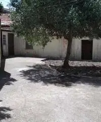 CASA INDIPENDENTE CON GIARDINO CASA INDIPENDENTE CON GIARDINO