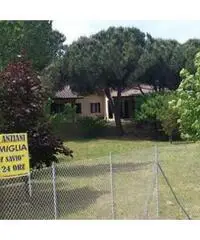 La Villa Di Savio - Residenza con Assistenza anziani La Villa Di Savio - Residenza con Assistenza anziani