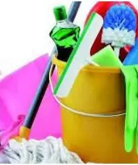 PULIZIE DOMESTICHE APPARTAMENTO TIBURTINA PULIZIE DOMESTICHE APPARTAMENTO TIBURTINA