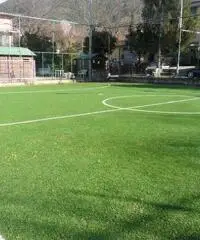 cerco assistenza e collaborazione domestica-convivenza cerco assistenza e collaborazione domestica-convivenza