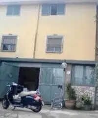 cerco collaboratrice-domestica-convivente in mia villa con annessa att cerco collaboratrice-domestica-convivente in mia villa con annessa att