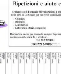 Ripetizioni, aiuto compiti e Baby Sitter