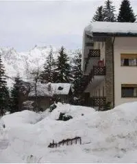 Courmayeur Affitto Appartamento Courmayeur Affitto Appartamento
