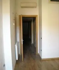 Prato Affitto Appartamento Prato Affitto Appartamento