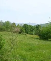 Terreno Altro in Vendita Terreno Altro in Vendita