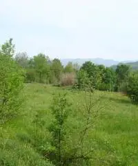 Terreno Altro in Vendita Terreno Altro in Vendita
