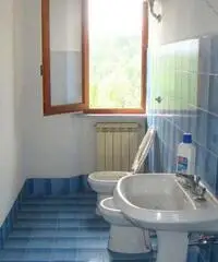 Vendita Villa a Barga Vendita Villa a Barga