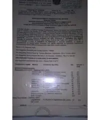 Badante referenziata