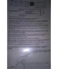 Badante referenziata