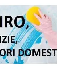 colf-badante-tata-la donna delle pulizie e stiro a solo 8 euro-