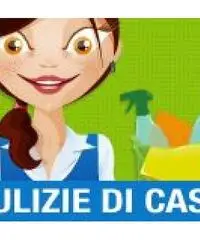 Pulizie domestiche Pulizie domestiche