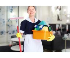 colf-badante-donna delle pulizie domestiche e stiro 8 euro-320/3167479