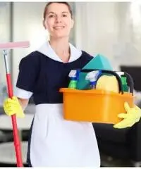 colf-badante-donna delle pulizie domestiche e stiro 8 euro-320/3167479