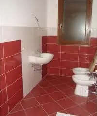 Loft in Affitto a 550