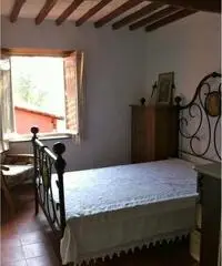 Vendita Rustico a Borgo a Mozzano