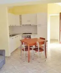 Mondovi: Appartamento Bilocale Mondovi: Appartamento Bilocale