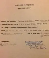 DISPONIBILE PER RIPETIZIONI E BABY SITTING DISPONIBILE PER RIPETIZIONI E BABY SITTING