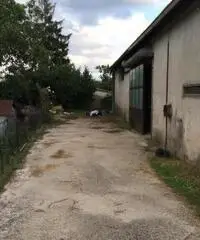 Affitto Capannone in Colle Sant'Onofrio