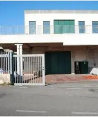 Affitto Capannone in Via Maremmana Affitto Capannone in Via Maremmana