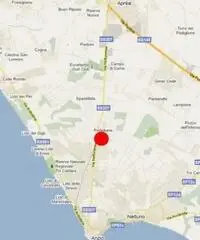 Affitto Capannone in Via Venere