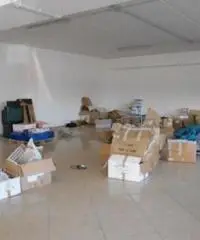 Affitto Capannone in via della Sviluppo Affitto Capannone in via della Sviluppo