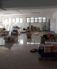 Affitto Capannone in via della Sviluppo Affitto Capannone in via della Sviluppo