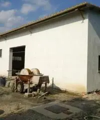 Affitto Capannone in via claudia