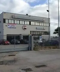 Affitto Capannone in Via Venere Affitto Capannone in Via Venere