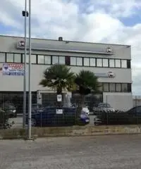 Affitto Capannone in Via Venere Affitto Capannone in Via Venere