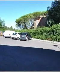 Affitto Capannone in Vicolozzo di Spinetta Affitto Capannone in Vicolozzo di Spinetta