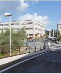 Affitto Magazzino in Via degli Olmetti Affitto Magazzino in Via degli Olmetti