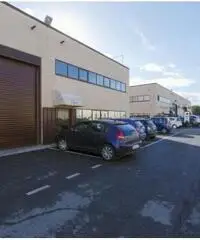 Affitto Magazzino in Via degli Olmetti Affitto Magazzino in Via degli Olmetti