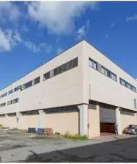 Affitto Magazzino in Via degli Olmetti Affitto Magazzino in Via degli Olmetti