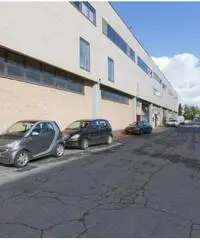 Affitto Magazzino in Via degli Olmetti Affitto Magazzino in Via degli Olmetti