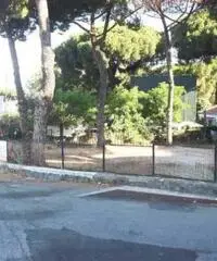 Affitto Magazzino in Via Spinabella Affitto Magazzino in Via Spinabella