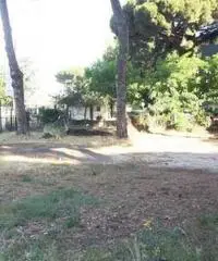 Affitto Magazzino in Via Spinabella Affitto Magazzino in Via Spinabella