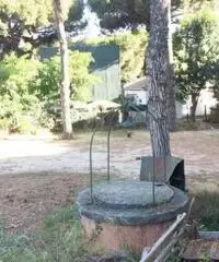 Affitto Magazzino in Via Spinabella Affitto Magazzino in Via Spinabella