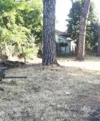 Affitto Magazzino in Via Spinabella Affitto Magazzino in Via Spinabella