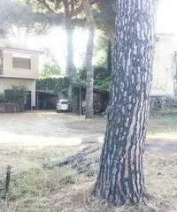 Affitto Magazzino in Via Spinabella Affitto Magazzino in Via Spinabella