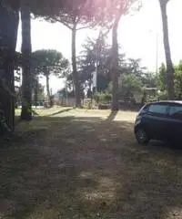 Affitto Magazzino in Via Spinabella Affitto Magazzino in Via Spinabella